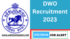 District Welfare Office Recruitment 2023