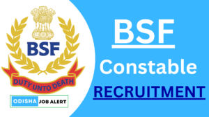 BSF Constable Tradesman