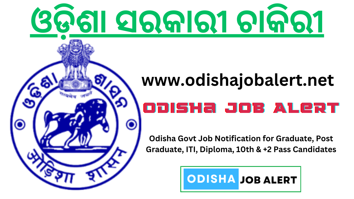 Odisha Job Alert
