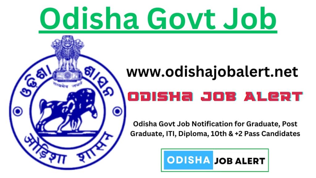 odisha govt job in