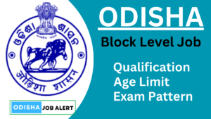 Odisha Block Level Govt Jobs 2024