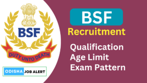 BSF Tradesman Recruitment 2024