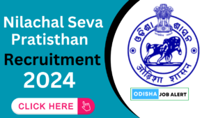 Puri Nilachal Seva Pratisthan Recruitment 2024
