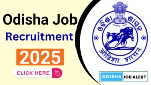 Clerk & Peon Recruitment 2025